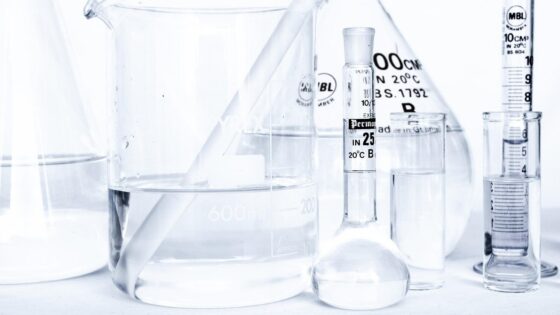 Die politische Chemie: Wichtiger Bestandteil jeder politischen Koalition