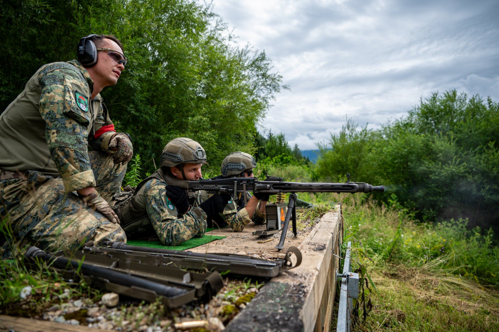 Bundesheer in Aktion; Der Garant der österreichischen Neutralität