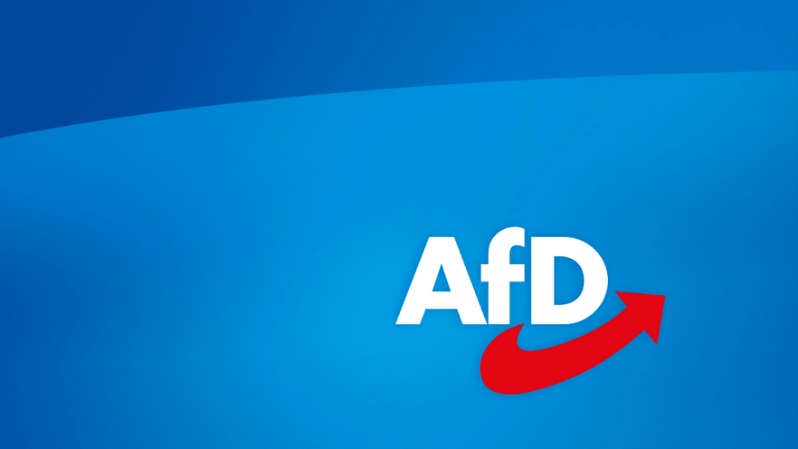 Brosius-Gersdorf versus die AfD: Die Juristin forderte in der Vergangenheit ein AfD-Verbot!